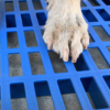 Tấm lót sàn chuồng chó mèo bằng nhựa PAW Plastic Pallet 7 Tấm lót sàn chuồng chó mèo bằng nhựa PAW Plastic Pallet