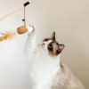 Đồ chơi cần câu cho mèo PAW vui nhộn