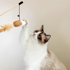 Đồ chơi cần câu cho mèo PAW vui nhộn 1