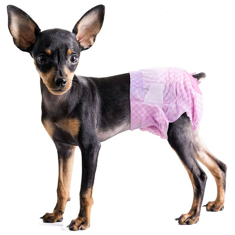 Tã bỉm cho chó mèo cái 2 4kg VET'S BEST Disposable Diapers XSmall
