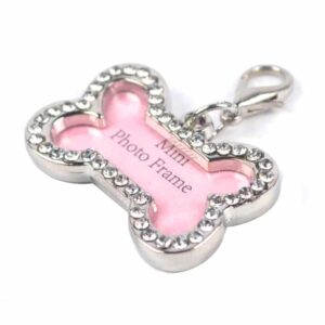 Bảng tên cho chó mèo PAW Quick-Tag Pet ID