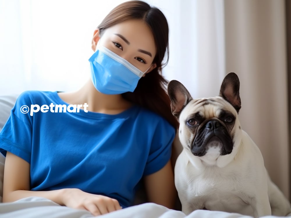 11 lý do và cách chữa chó bị sổ mũi thở khò khè hắt xì