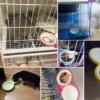 Bát ăn đôi cho chó mèo gài chuồng bằng nhựa SAWYER PET 4 Bát ăn đôi cho chó mèo gài chuồng bằng nhựa SAWYER PET
