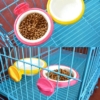 Bát ăn đơn cho chó mèo bằng nhựa gài chuồng SAWYER PET 4 Bát ăn đơn cho chó mèo bằng nhựa gài chuồng SAWYER PET