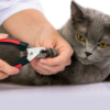 Kềm cắt bấm móng chó mèo PAW Safety Guard Clipper