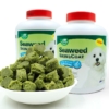 Thuốc dưỡng lông và da cho chó VEGEBRAND Seaweed Skin & Coat 5 Thuốc dưỡng lông và da cho chó mèo VEGETBRAND Seaweed Skin & Coat