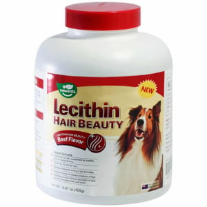 Thuốc trị chống rụng lông cho chó VEGEBRAND Lecithin Hair Beauty