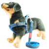 Xích cho chó cương ngực vải bò HAND IN HAND Denim & Nylon Harness and Leash 12 Xích cho chó cương ngực vải bò HAND IN HAND Denim & Nylon Harness and Leash