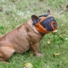 Rọ mõm chó mõm ngắn PAW nhiều kích cỡ 7 Rọ mõm cho chó mõm ngắn PAW nhiều kích cỡ