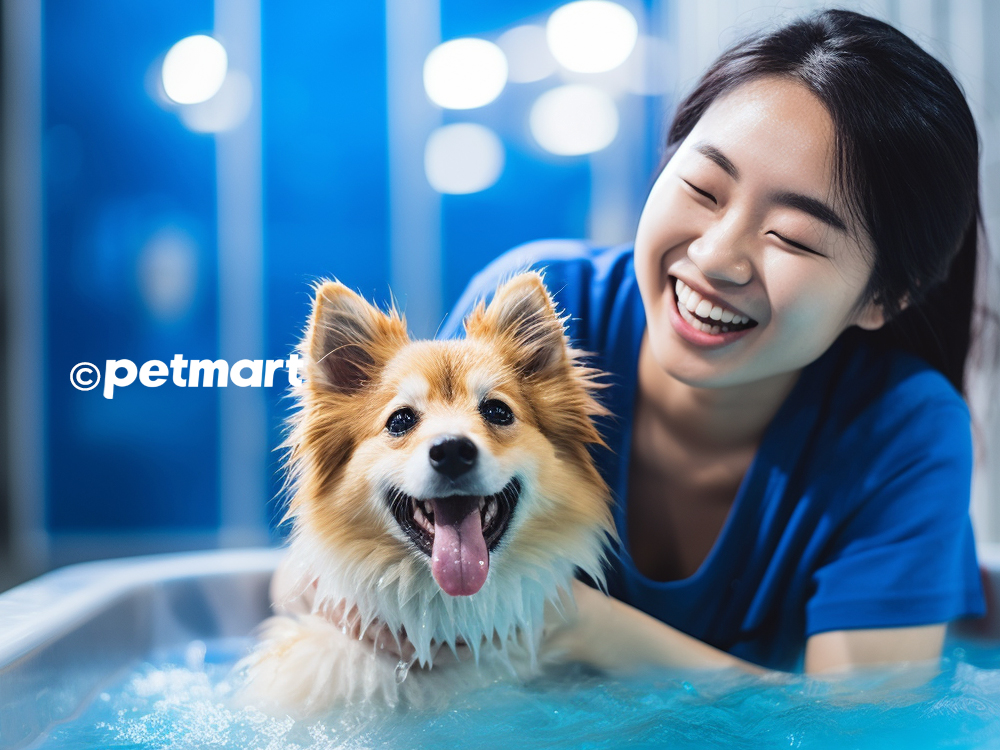 Hướng dẫn cách vắt tuyến hôi cho chó tại nhà dễ dàng