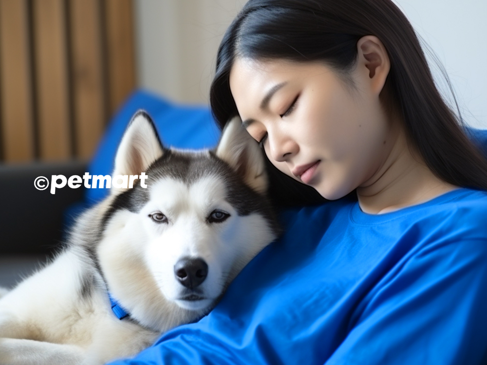 Chó bị viêm phế quản: Dấu hiệu và cách chữa trị sớm