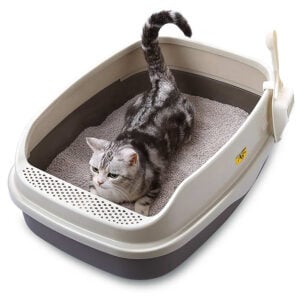Khay vệ sinh cho mèo Makar Cat Litter Station