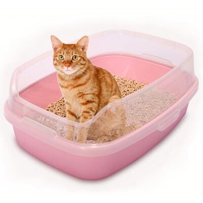 Khay vệ sinh cho mèo MAKAR Deodorized Cat Litter Box