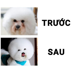 thuoc-lam-sach-vet-o-long-khoe-mat-cho-cho-meo-bioline-tear-stain-remover