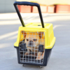 Lồng vận chuyển chó mèo có tay kéo AUPET Pet Kennel
