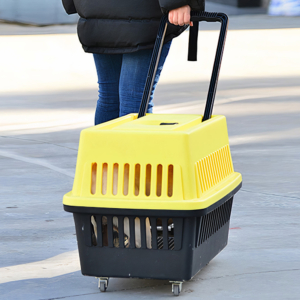 Lồng vận chuyển chó mèo có tay kéo AUPET Pet Kennel
