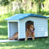 Nhà cho chó bằng nhựa có hiên XINDING Pet House 424