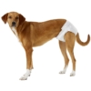 Tã bỉm cho chó cái 10 – 20kg VET'S BEST Disposable Diapers Large 7 Tã bỉm cho chó cái 10 – 20kg VET'S BEST Disposable Diapers Large