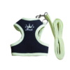 Yếm cho chó mèo kèm dây dắt AMBABY PET 1JXS019 6 Yếm cho chó mèo kèm dây dắt AMBABY PET 1JXS019