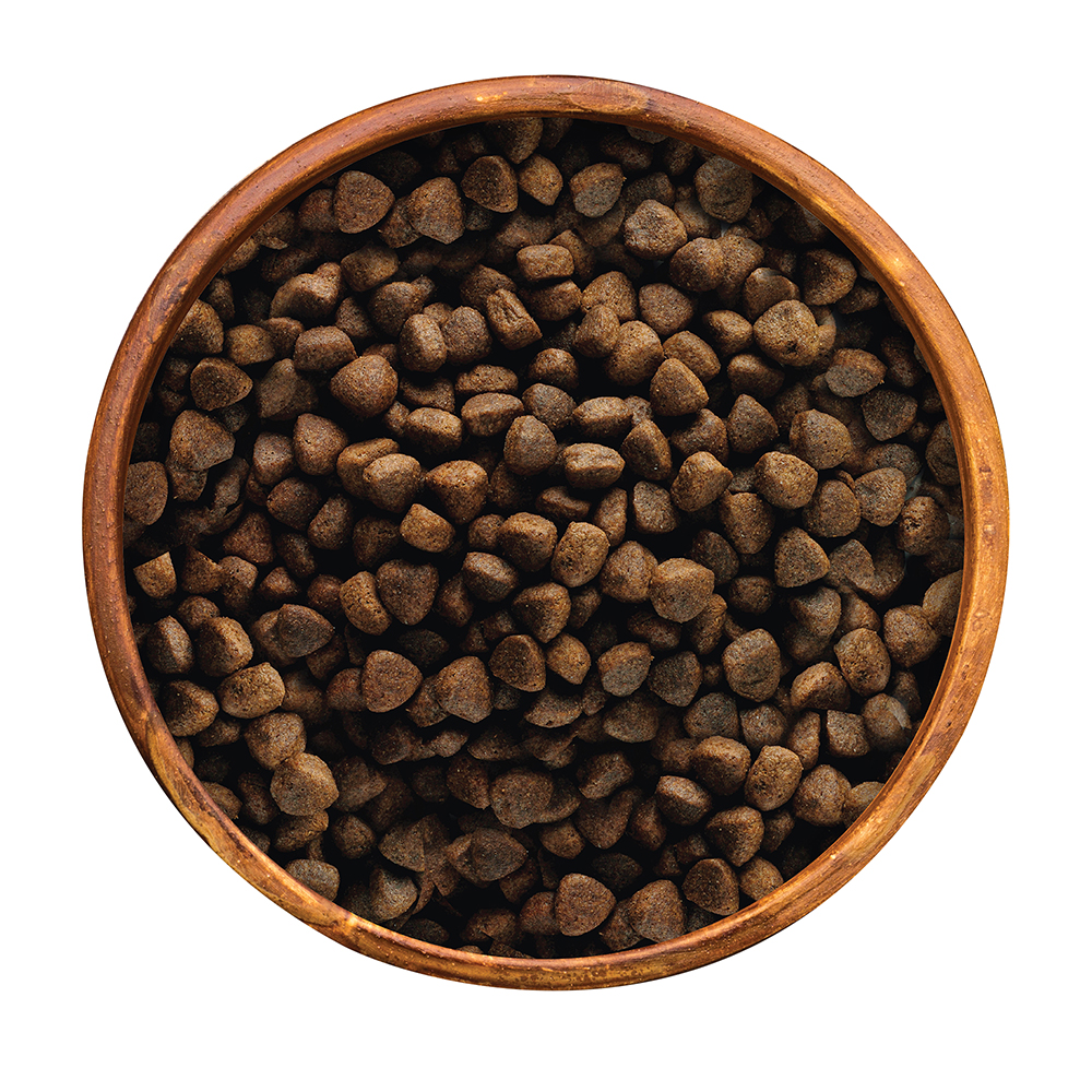 Thức ăn cho chó trưởng thành EARTHBORN HOLISTIC Ocean Fusion 2 Thức ăn cho chó trưởng thành Earthborn Holistic Ocean Fusion 2.5kg