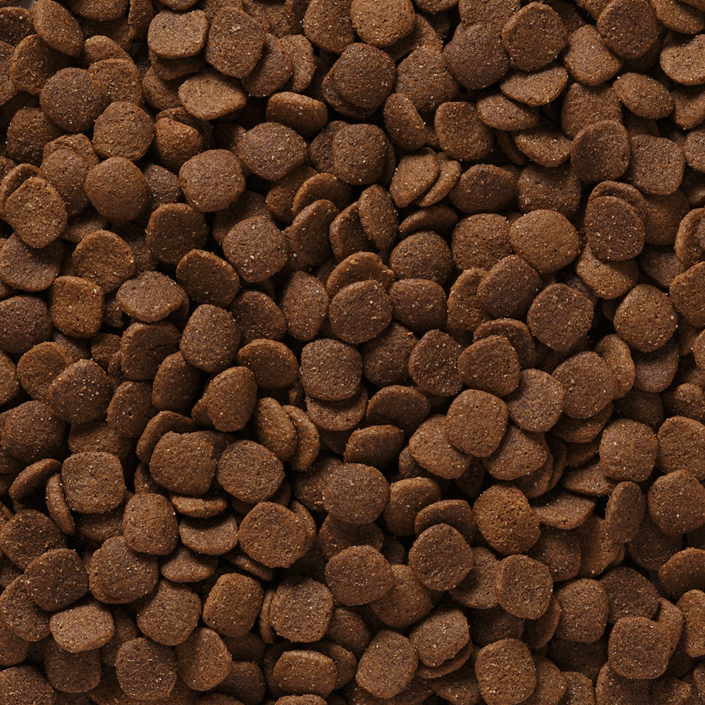 Thức ăn Cho Chó PRO PAC ULTIMATES Chicken & Brown Rice Formula | Pet ...