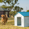 Nhà nhựa cho chó XINDING Dog House 432 6 Nhà nhựa cho chó XINDING Dog House 432
