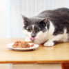 Pate cho mèo vị cá ngừ và thịt gà IRIS OHYAMA Tuna Chicken 5 Pate cho mèo IRIS