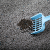 Cát vệ sinh cho mèo than hoạt tính IRIS Charcoal SNS70