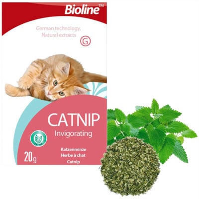 Catnip cho mèo dạng khô BIOLINE Catnip Invigorating