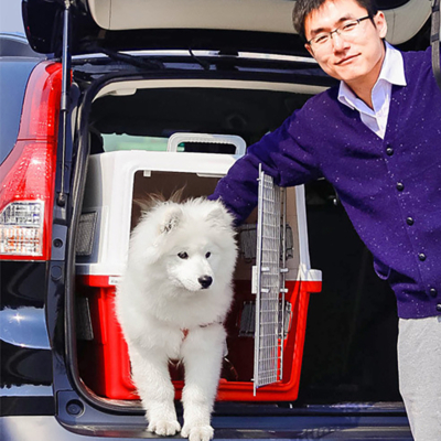 Lồng vận chuyển chó mèo IRIS Dog & Cat Kennel