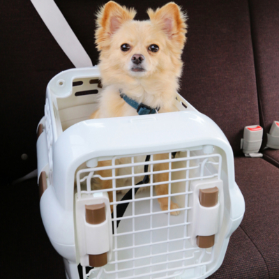 Lồng vận chuyển chó mèo IRIS PDPC Dog & Cat Kennel