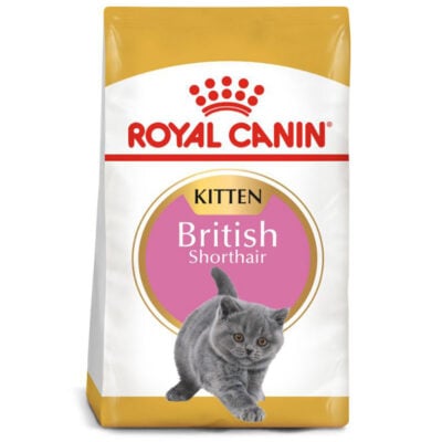 Thức ăn cho mèo Anh lông ngắn con ROYAL CANIN British Shorthair Kitten