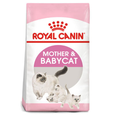 Thức ăn cho mèo con và mèo mẹ ROYAL CANIN Mother & Babycat