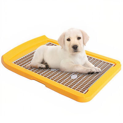 Khay vệ sinh cho chó MAKAR Dog Toilet Trays Medium