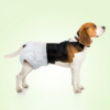 Tã bỉm cho chó mèo cái PET SOFT Disposable Diapers Medium 6-11kg 5 Tã bỉm cho chó mèo cái Pet Soft Disposable Diapers