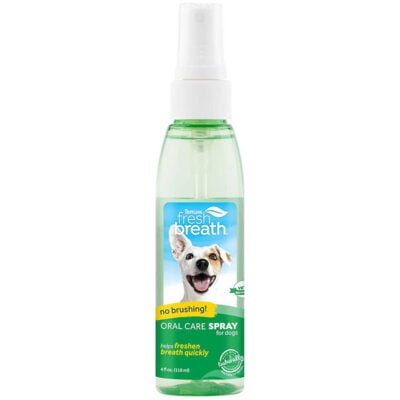 Xịt khử mùi hôi miệng cho chó TROPICLEAN Green Tea Oral Care Spray
