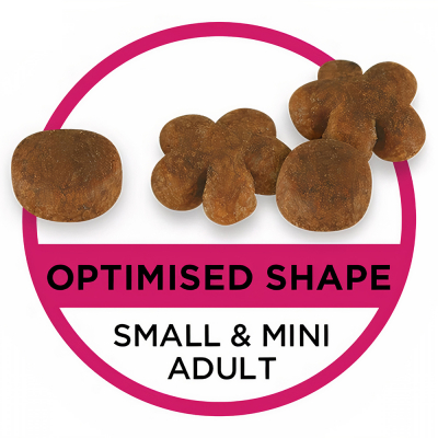 Thức ăn cho chó đẹp lông PURINA PRO PLAN Small & Mini Fussy Beauty 6 Thức ăn cho chó đẹp lông PURINA PRO PLAN Small & Mini Fussy Beauty