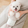 Tã bỉm cho chó mèo đực PAW Pet Diapers