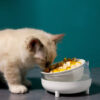 Bát ăn cho chó mèo PAW The Body Meow Bowl 9 Bát ăn cho chó mèo PAW The Body Meow Bowl