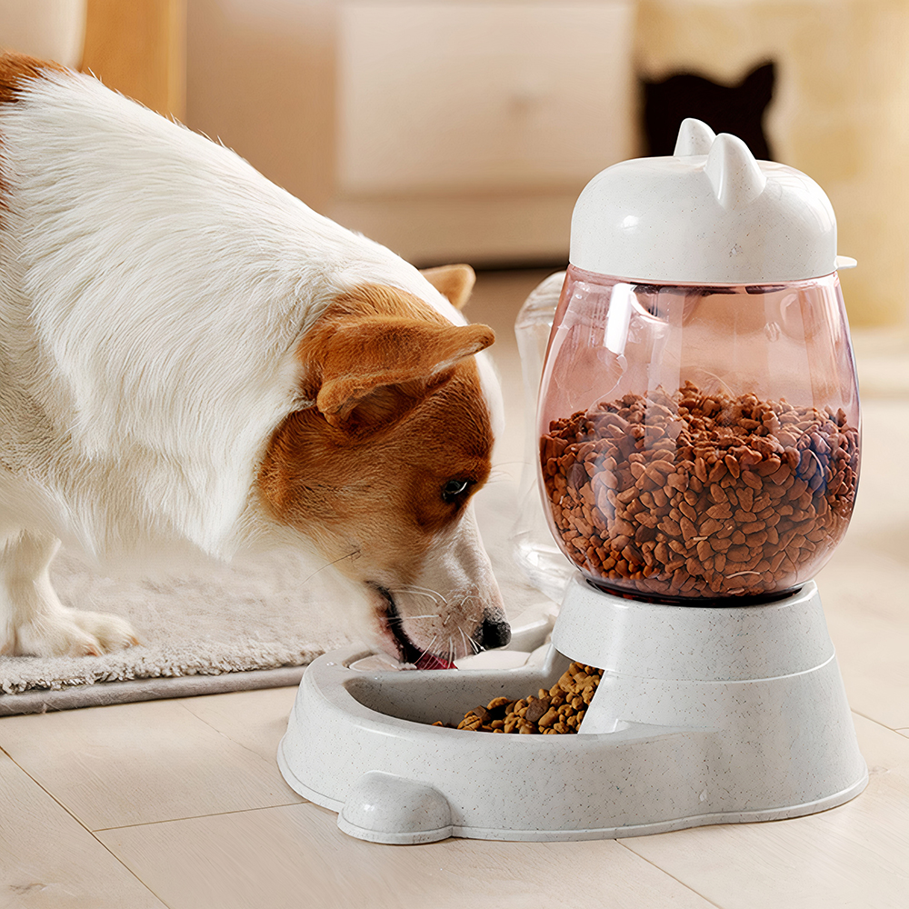 Bộ bát ăn bình nước tự động cho chó mèo PAW Cat Head Food Water Feeder 2 Bộ bát ăn bình nước tự động cho chó mèo PAW Cat Head Food Water Feeder