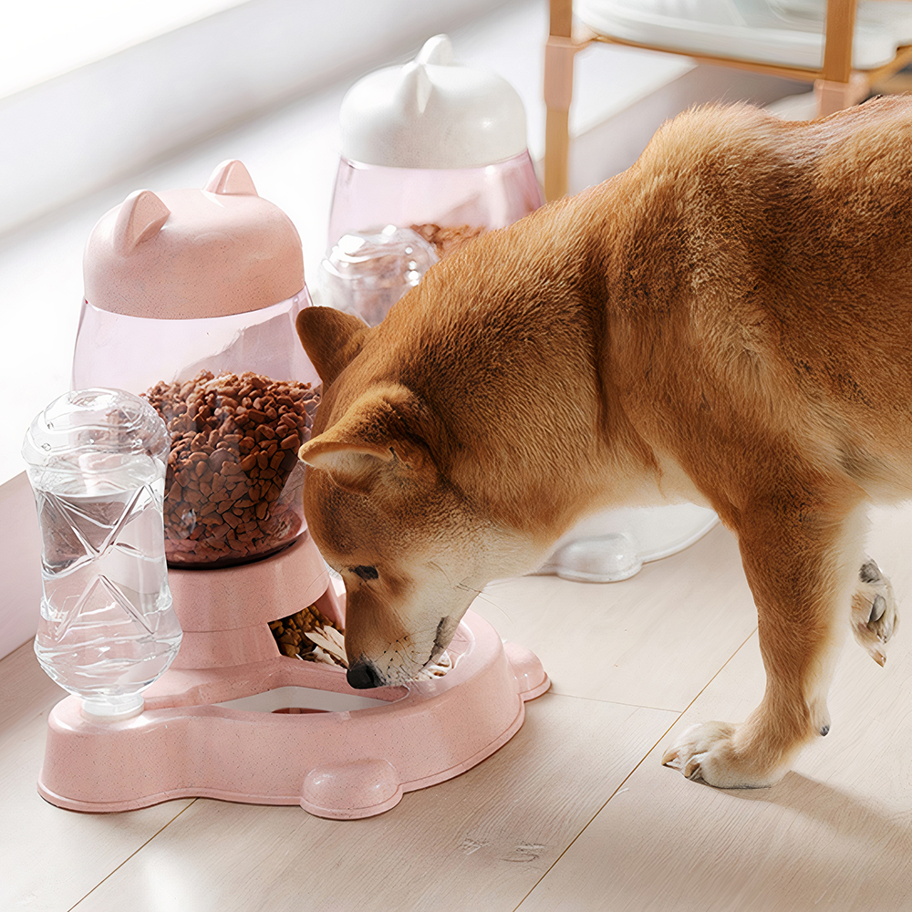 Bộ bát ăn bình nước tự động cho chó mèo PAW Cat Head Food Water Feeder 3 Bộ bát ăn bình nước tự động cho chó mèo PAW Cat Head Food Water Feeder
