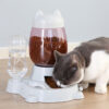 Bộ bát ăn bình nước tự động cho chó mèo PAW Cat Head Food Water Feeder