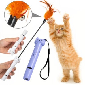 Cần câu cho mèo lông vũ kết hợp đèn Laser PAW Cat Toy Laser Projection