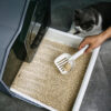 Nhà vệ sinh cho mèo PAW Nikon Meow Cat Litter Boxes