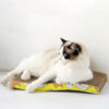 Bàn cào móng cho mèo bìa giấy cát tông PAW S Carton Cat Scratcher