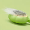 Lược chải lông chó mèo có nút bấm PAW Flowers Pet Comb