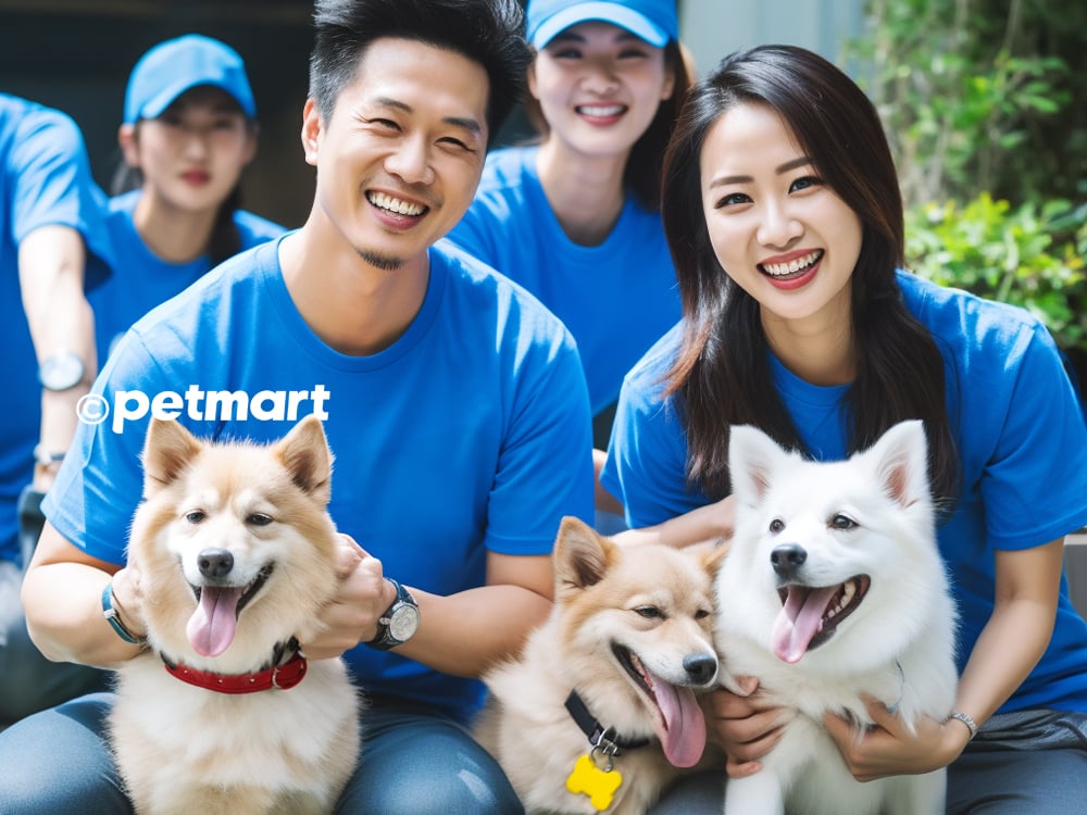 Khách sạn chó mèo | Dịch vụ trông giữ thú cưng | Pet Hotel | Pet Mart Hà Nội, TP.HCM, Đà Nẵng, Hải Phòng